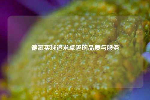 德赢买球追求卓越的品质与服务