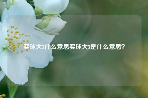 买球大3什么意思买球大3是什么意思？