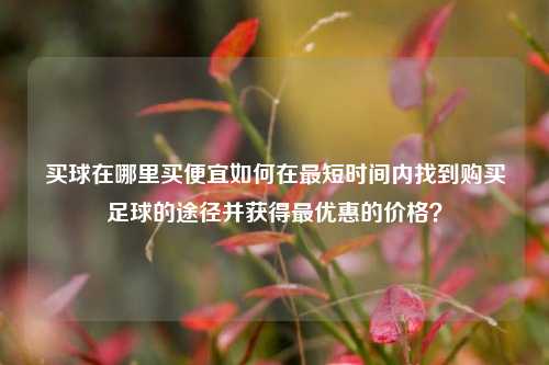 买球在哪里买便宜如何在最短时间内找到购买足球的途径并获得最优惠的价格？