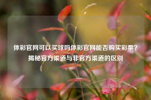 体彩官网可以买球吗体彩官网能否购买彩票？揭秘官方渠道与非官方渠道的区别