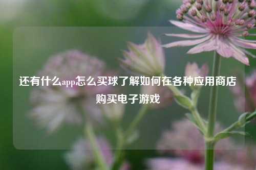 还有什么app怎么买球了解如何在各种应用商店购买电子游戏
