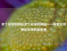 求个买球的网站求个买球的网站——探索在线博彩市场的新机遇