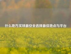 什么地方买球最安全选择最佳地点与平台
