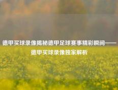 德甲买球录像揭秘德甲足球赛事精彩瞬间——德甲买球录像独家解析
