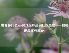 世界杯什么app买球足球迷的狂欢盛宴——揭秘世界杯专属APP