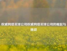 权威网络买球公司权威网络买球公司的崛起与挑战