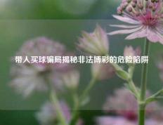 带人买球骗局揭秘非法博彩的危险陷阱