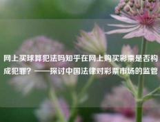 网上买球算犯法吗知乎在网上购买彩票是否构成犯罪？——探讨中国法律对彩票市场的监管