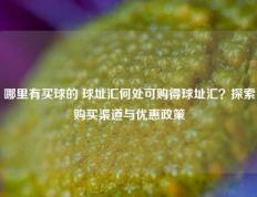 哪里有买球的 球址汇何处可购得球址汇？探索购买渠道与优惠政策