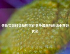 低价买球料揭秘如何在竞争激烈的市场中获取优势