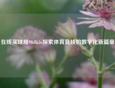 在线买球规98db,in探索体育竞技的数字化新篇章