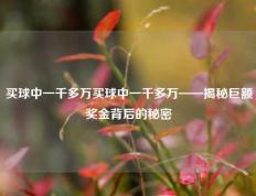 买球中一千多万买球中一千多万——揭秘巨额奖金背后的秘密