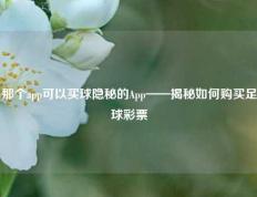 那个app可以买球隐秘的App——揭秘如何购买足球彩票
