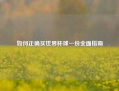 如何正确买世界杯球一份全面指南