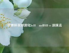 世界杯买球游化bs18婰meBS18 vs 涂抹法