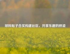 球料帖子合买构建社区，共享乐趣的桥梁
