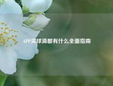 APP买球滴都有什么全面指南
