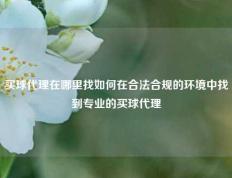 买球代理在哪里找如何在合法合规的环境中找到专业的买球代理