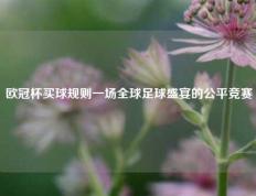 欧冠杯买球规则一场全球足球盛宴的公平竞赛
