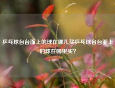 乒乓球台台面上的球在哪儿买乒乓球台台面上的球在哪里买？