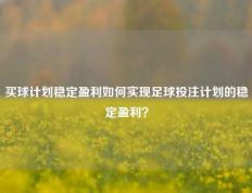 买球计划稳定盈利如何实现足球投注计划的稳定盈利？