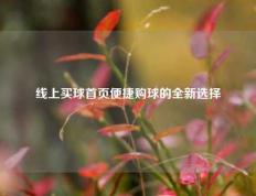 线上买球首页便捷购球的全新选择