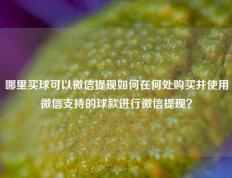 哪里买球可以微信提现如何在何处购买并使用微信支持的球款进行微信提现？