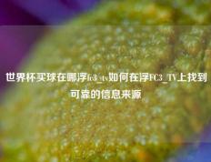 世界杯买球在哪浮fc3_tv如何在浮FC3_TV上找到可靠的信息来源