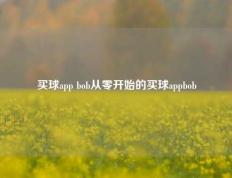 买球app bob从零开始的买球appbob