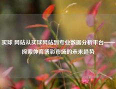买球 网站从买球网站到专业数据分析平台——探索体育博彩市场的未来趋势