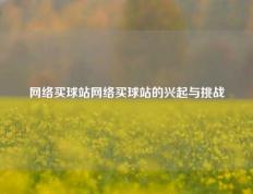 网络买球站网络买球站的兴起与挑战