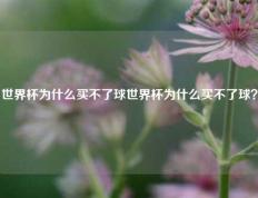 世界杯为什么买不了球世界杯为什么买不了球？