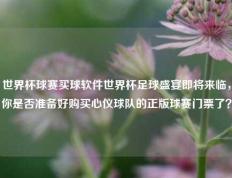 世界杯球赛买球软件世界杯足球盛宴即将来临，你是否准备好购买心仪球队的正版球赛门票了？