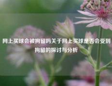 网上买球会被拘留吗关于网上买球是否会受到拘留的探讨与分析