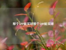 那个APP能买球那个APP能买球