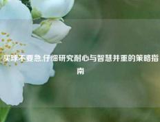 买球不要急,仔细研究耐心与智慧并重的策略指南