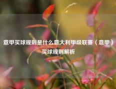 意甲买球规则是什么意大利甲级联赛（意甲）买球规则解析