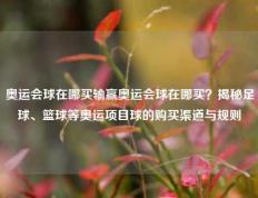 奥运会球在哪买输赢奥运会球在哪买？揭秘足球、篮球等奥运项目球的购买渠道与规则