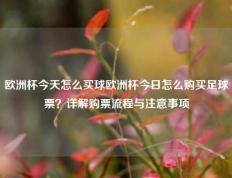 欧洲杯今天怎么买球欧洲杯今日怎么购买足球票？详解购票流程与注意事项