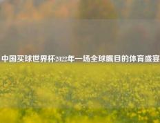 中国买球世界杯2022年一场全球瞩目的体育盛宴