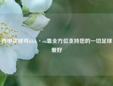 西甲买球可63yb丶cn靠全方位支持您的一切足球爱好