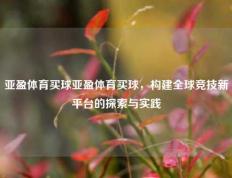 亚盈体育买球亚盈体育买球，构建全球竞技新平台的探索与实践