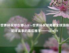 世界杯买球在哪sjb18 tv世界杯买球揭秘全球顶级足球盛事的幕后推手——SJB18 TV