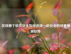 买球哪个软件安全如何选择一款安全的球赛预测软件