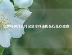 世界杯买球支付宝全球球迷的在线狂欢盛宴