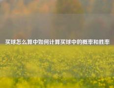买球怎么算中如何计算买球中的概率和胜率