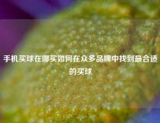 手机买球在哪买如何在众多品牌中找到最合适的买球