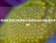 欧洲杯买球100块得多少如何在100元内取得好成绩？