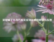 买球输了几百万购买足球彩票的教训与反思
