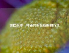 微信买球一种新兴的在线购物方式